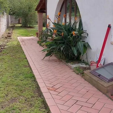 A Casa Di Leo Frühstückspension Tarquinia